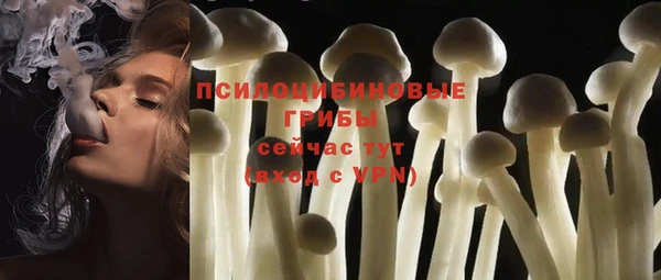 гидра Алексин