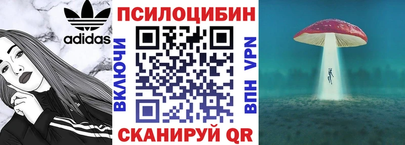 Псилоцибиновые грибы Cubensis  Котельники 